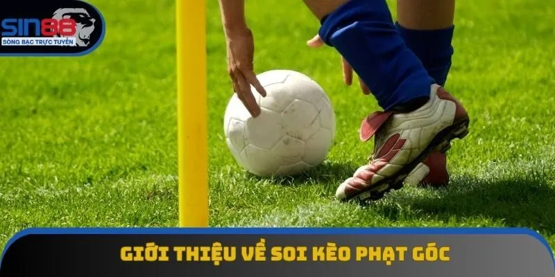 Giới thiệu về soi kèo phạt góc Giới thiệu về soi kèo phạt góc